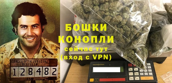 PSILOCYBIN Абаза