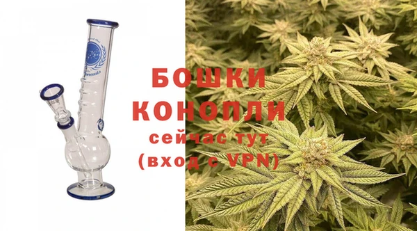 PSILOCYBIN Абаза