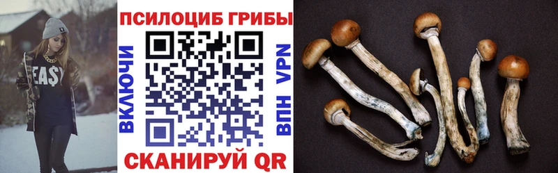 Псилоцибиновые грибы Cubensis  Сысерть 